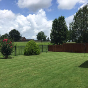 Landscaping & lawn care for your backyard in Memphis