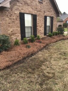 Landscaping services in madison