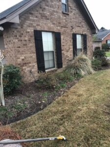 Before landscaping