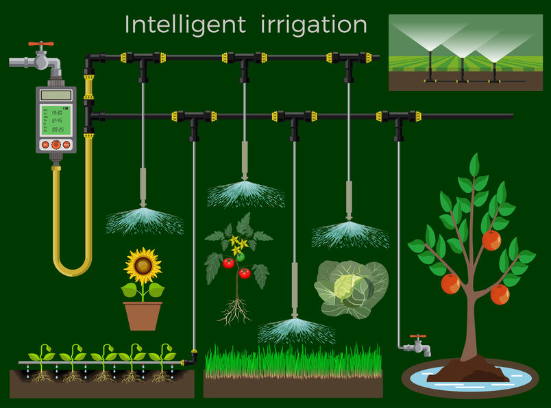 Intelligent irrigation system