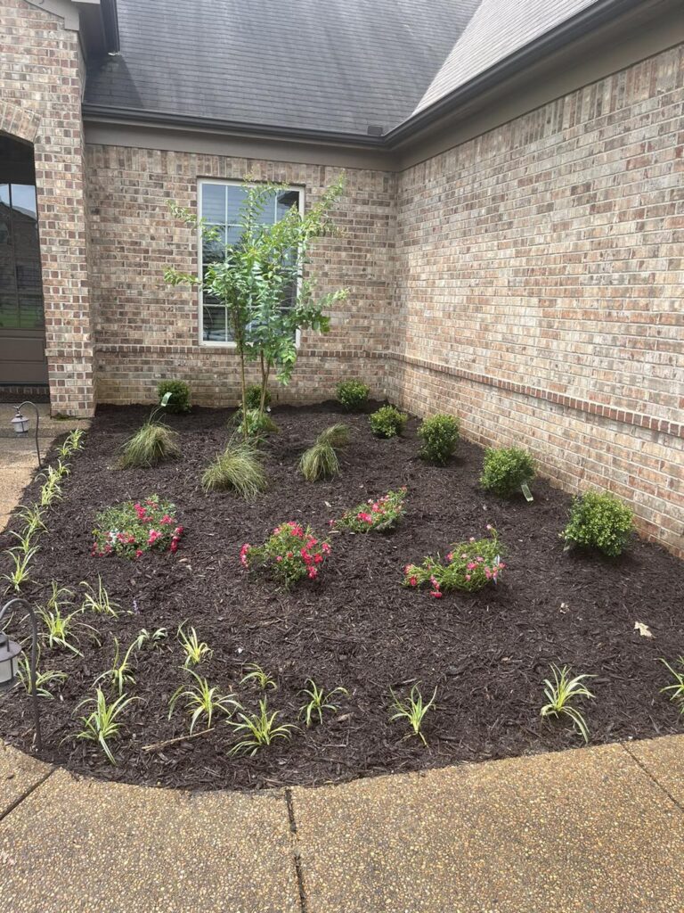Landscaping Services after removal of weeds, old bushes, and shrubs