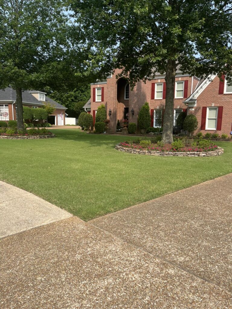 lawn Maintenance