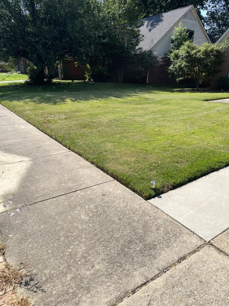 Lawn Care Treatment Services